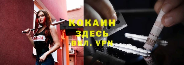 гашик Абинск