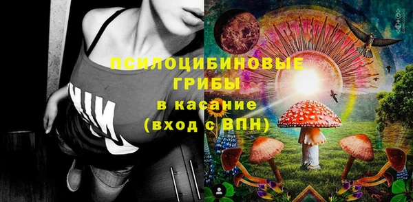 сатива Абдулино