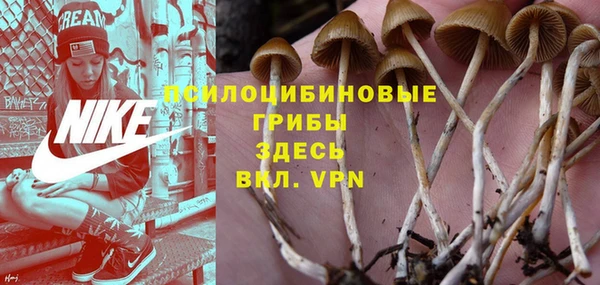 сатива Абдулино