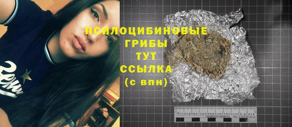 гашик Абинск